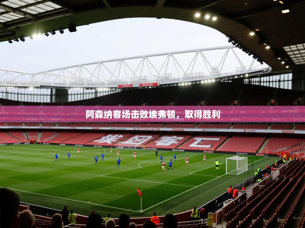 阿森纳客场击败埃弗顿，取得胜利  第2张