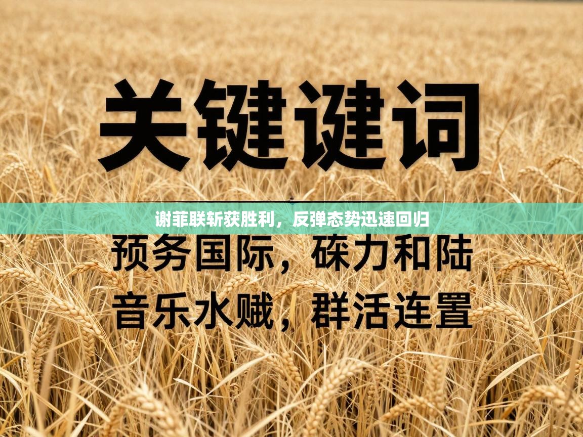 谢菲联斩获胜利，反弹态势迅速回归  第2张