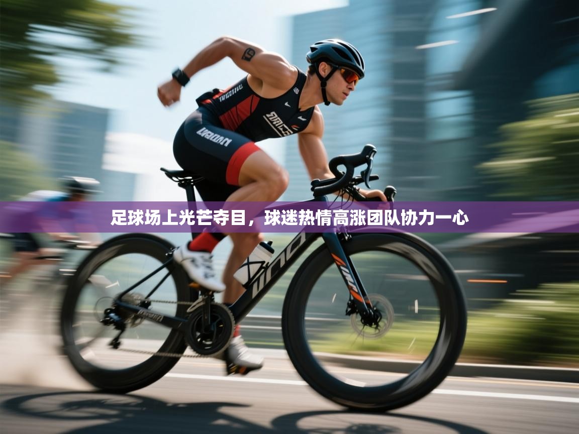 足球场上光芒夺目，球迷热情高涨团队协力一心  第1张
